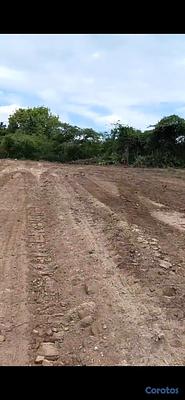 Listing thumbnail