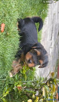 Listing thumbnail