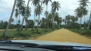 solares y terrenos - Solares en Nagua desde US115² 