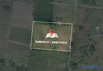 solares y terrenos - Terreno en Venta de Oportunidad, en Palmar Santiag