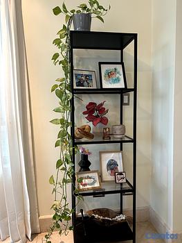 decoración y accesorios - Estante/Librero Ikea