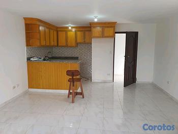apartamentos - Apartamento Totalmente Remodelado 
