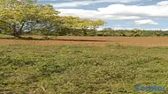 solares y terrenos - Terreno en venta en Rancho Los Mogotes