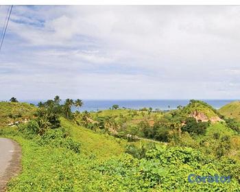 solares y terrenos - Terreno en venta en Samana