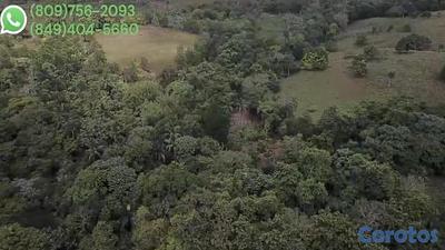 Listing thumbnail