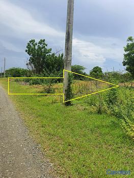 solares y terrenos - Solar en Bani