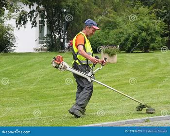 empleos disponibles - Jardineros para trabajar en el Distrito Nacional. 