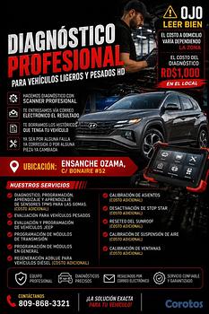 servicios profesionales - Diagnostigo Para vehiculos 