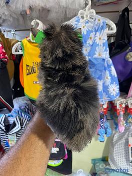 animales y mascotas - OFERTA CACHORRO YORKIE EXOTICO MERLE HEMBRA UBICAD