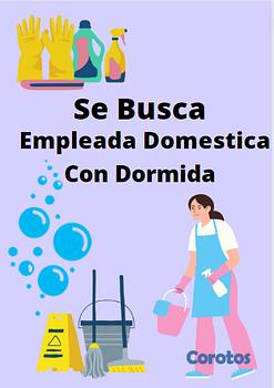 empleos disponibles - SE SOLICITA DOMESTICA CON DORMIDA EN SANTIAGO