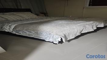 muebles y colchones - Vendo una cama usada en muy buen estado con colchones postopedicos. Tamaño Queen