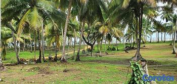 solares y terrenos - Solares en Nagua