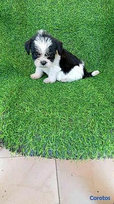 Listing thumbnail