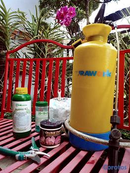 servicios profesionales - Cuidado y mantenimiento de orquídeas a domicilio