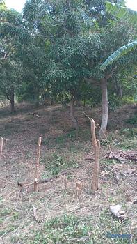 solares y terrenos - se vende terreno en San Cristóbal ideal para casa de campo o villa 