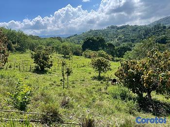 solares y terrenos - Terreno en lugar privilegiado solo uno 2611 MT 
Título Deslindado 