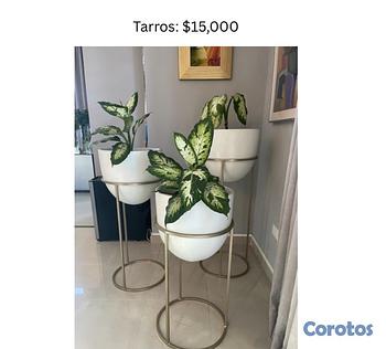 decoración y accesorios - Decoración 