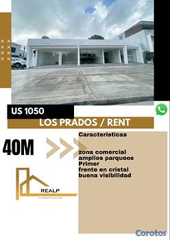 oficinas y locales comerciales - Alquiler local en primer nivel