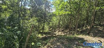 solares y terrenos - Terreno en venta (Jarabacoa)312mt2, Zona Turística