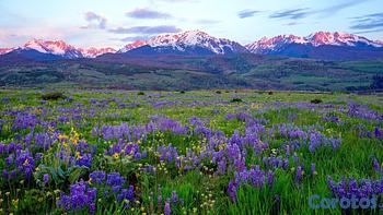 empleos disponibles - SE SOLICITA DOMESTICA CON DORMIDA EN SANTIAGO