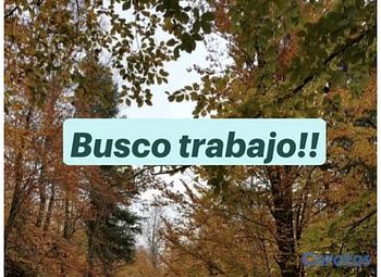 candidatos - busco empleo!!!