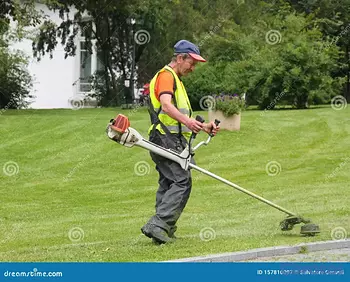 empleos disponibles - Busco jardineros de pueblo ofrezco hospedaje en SD