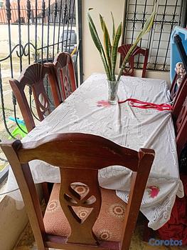muebles y colchones - comedor en caoba