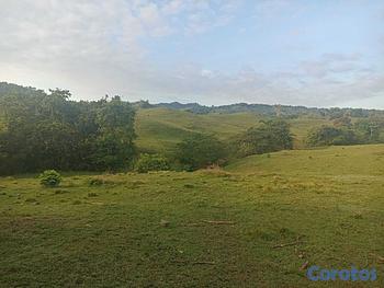 solares y terrenos - 🐄 Finca Ganadera en Venta – A Solo 45 Minutos de 