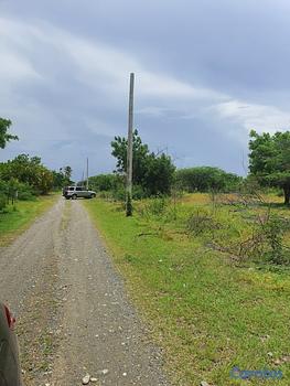 solares y terrenos - Solar en Bani