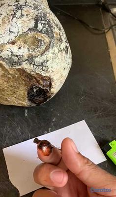 Listing thumbnail