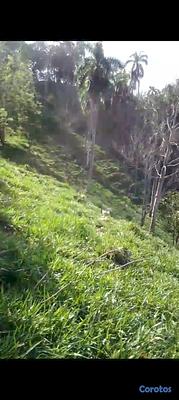 Listing thumbnail