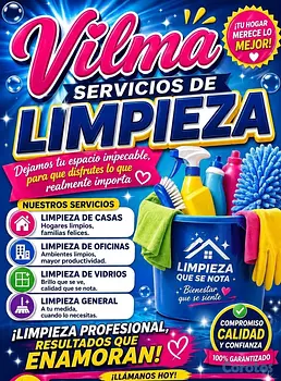 servicios profesionales - Vilma Servicio De Limpieza 