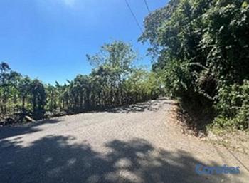 solares y terrenos - Excelente Terreno En La Vega