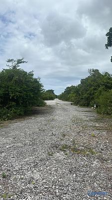 Listing thumbnail