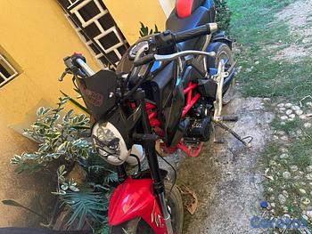 motores y pasolas - Super Tucán