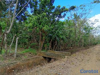 solares y terrenos - finca de 69 tareas ideal para casa campestre en Monte Plata 
