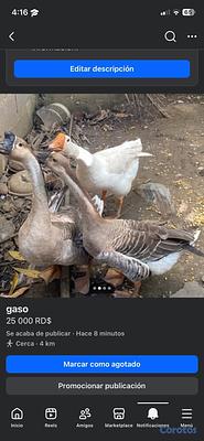 Listing thumbnail