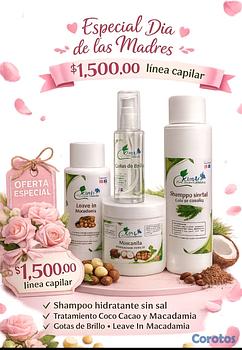 salud y belleza - Línea Capilar 