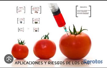 candidatos - AYUDANTE DE COSINA