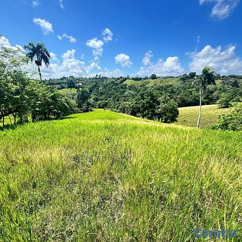 solares y terrenos - 🔵Terreno 288 Tareas en Las Lajas, La Vega