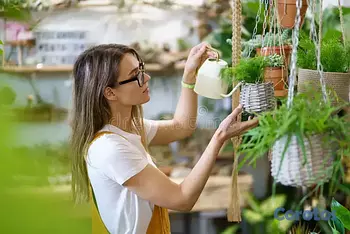 empleos disponibles - Vacante Auxiliar Floristería y Cuidado de Planta