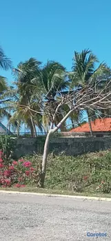solares y terrenos - TERRENOS EN ZONA TURISTICA DEL ESTE ENTRE JUAN DOLIO Y BOCA CHICA