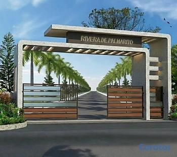 solares y terrenos - Rivera de Palmarito - Bonao