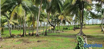 solares y terrenos - Solares en Nagua