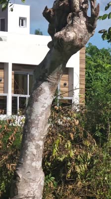 VILLA EN JUAN DOLIO US$160K - Townhouse 2 Hab / 2 